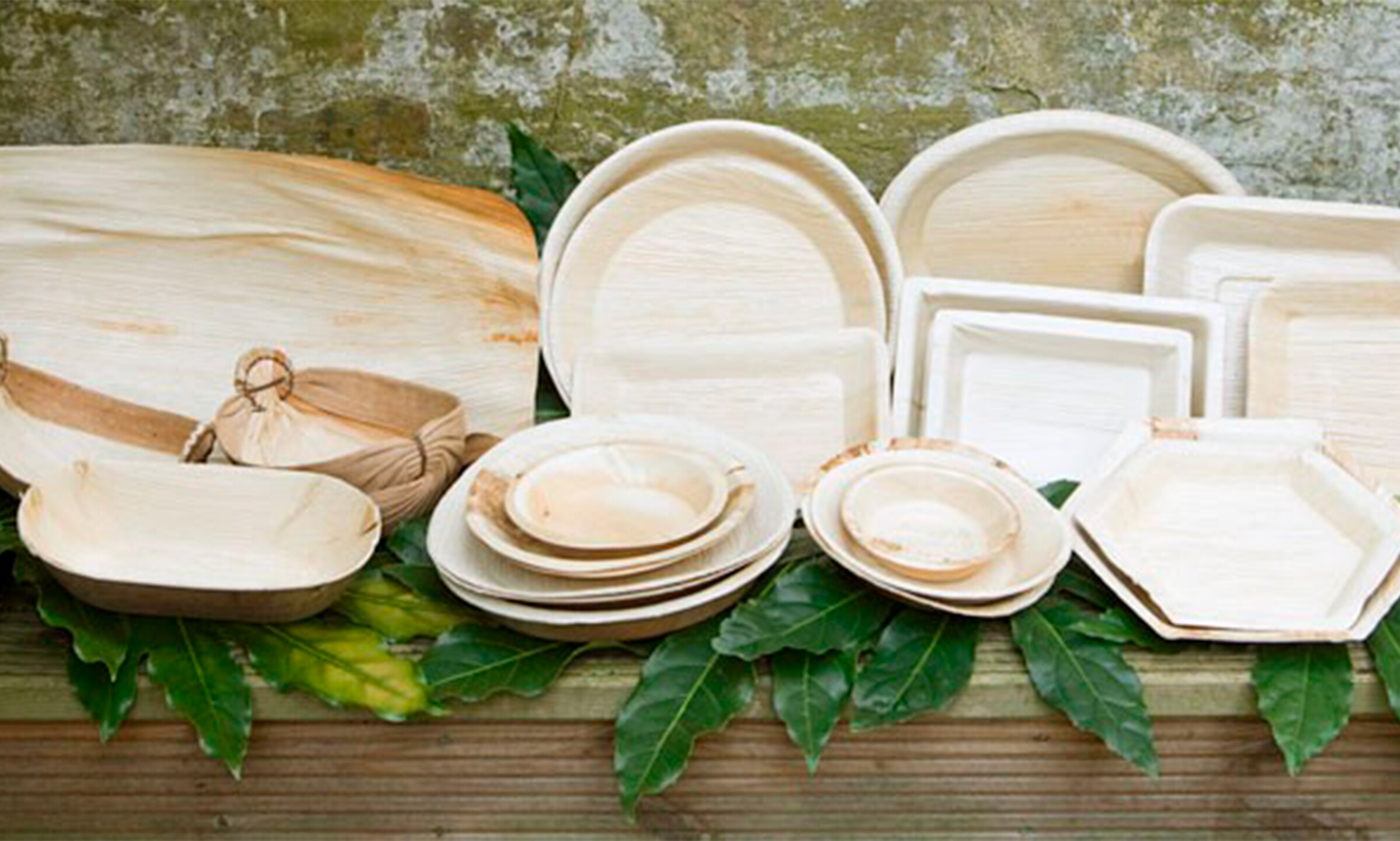 img blog plastic alternatives palm leaf