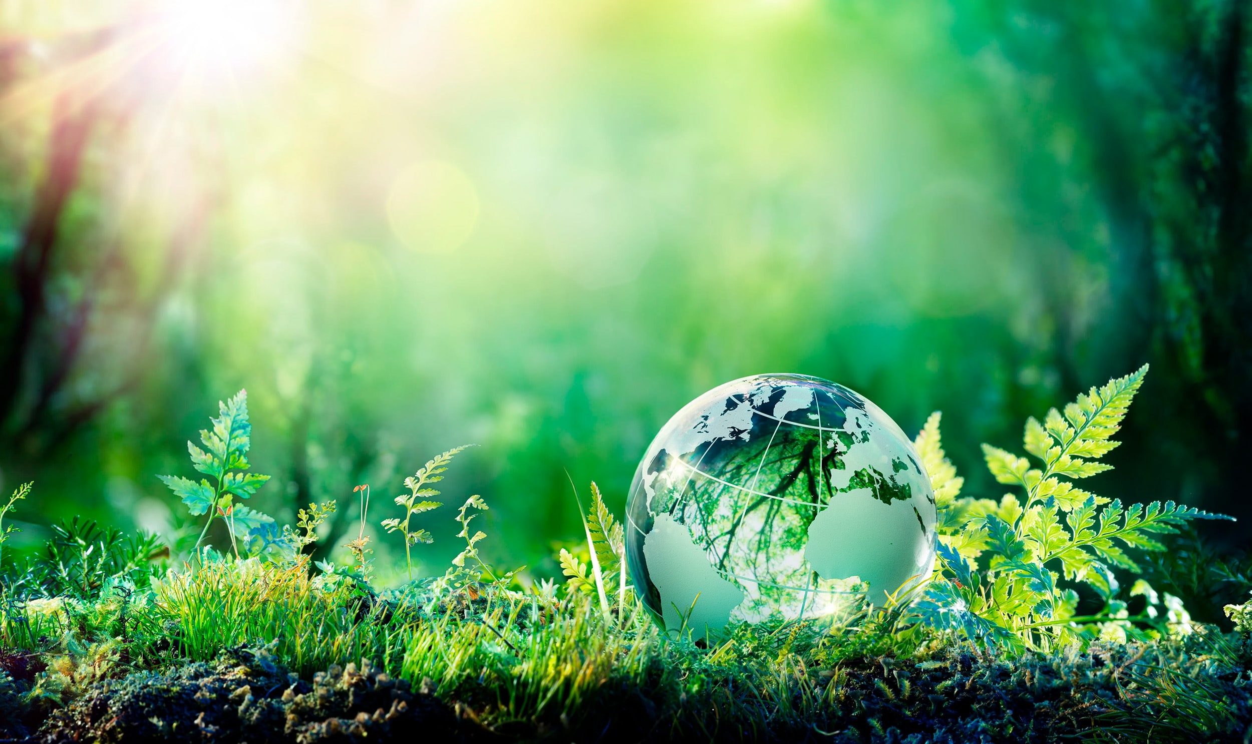 img blog sustainability grass globe