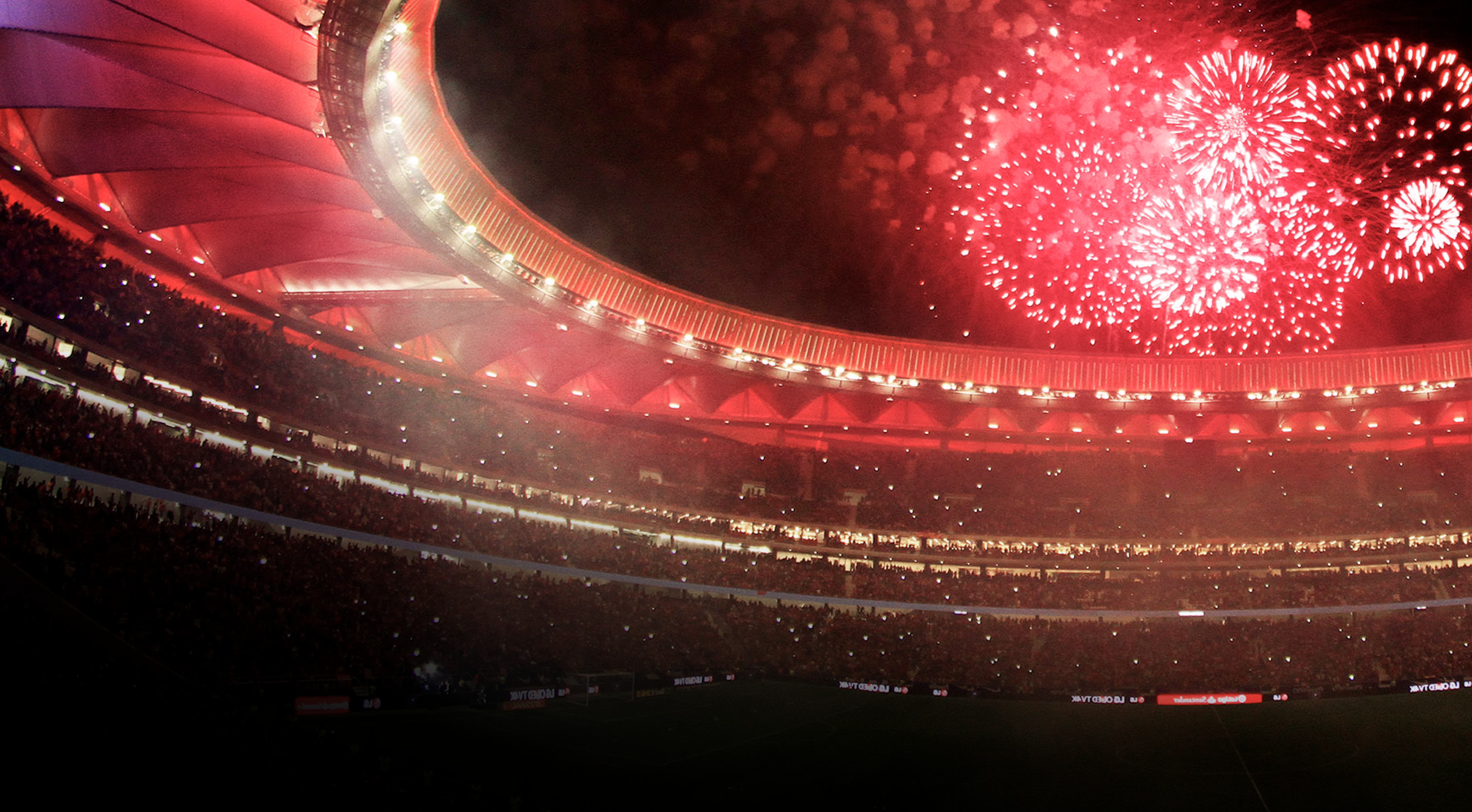 Interact coral stadium image