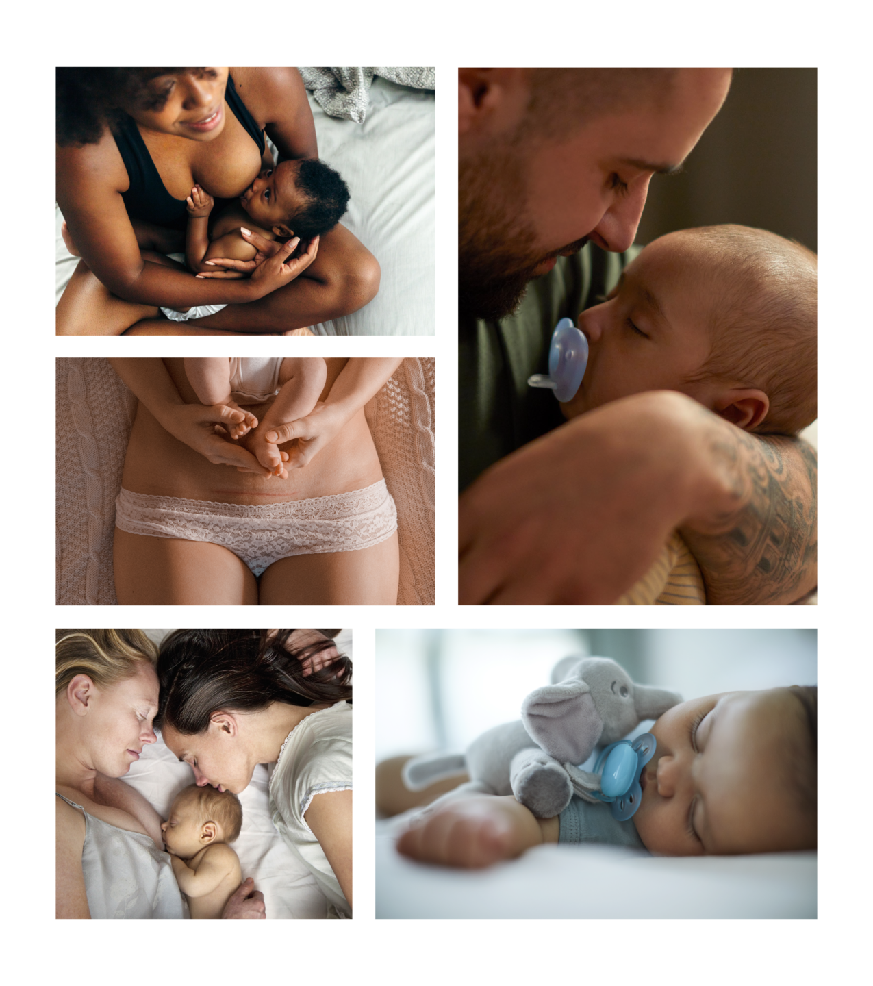 Avent photo gallery